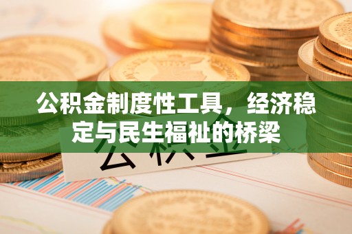 精准公积金制度性工具，经济稳定与民生福祉的桥梁