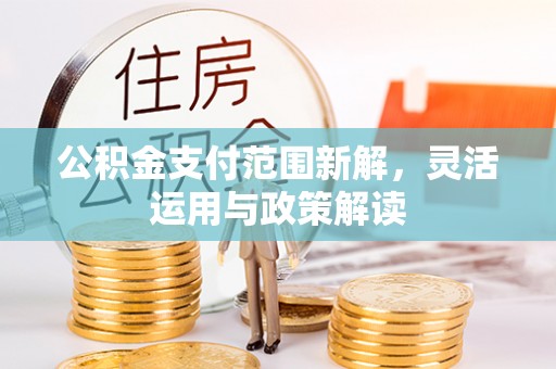 精准公积金支付范围新解，灵活运用与政策解读