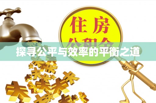 精准探寻公平与效率的平衡之道