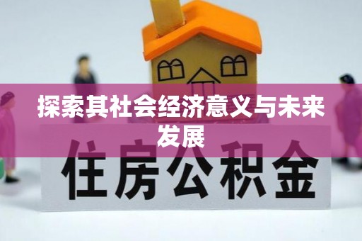 精准探索其社会经济意义与未来发展