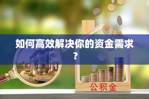 精准如何高效解决你的资金需求？