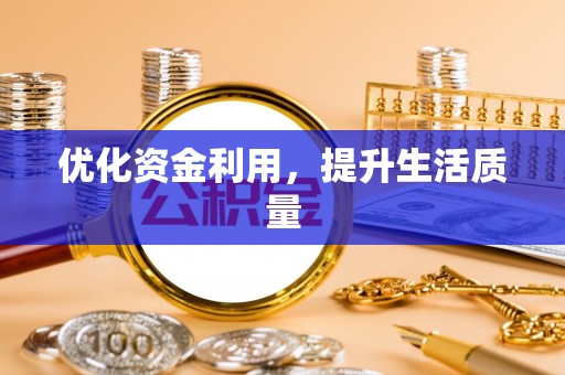 精准优化资金利用，提升生活质量