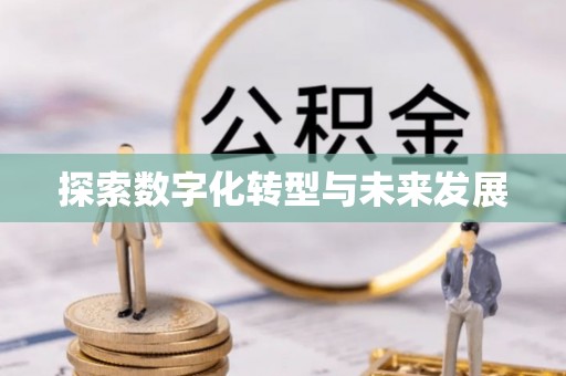精准探索数字化转型与未来发展