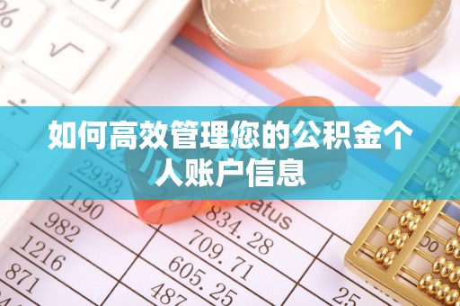 精准如何高效管理您的公积金个人账户信息