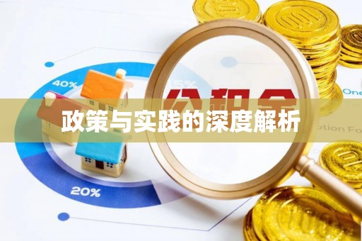 精准政策与实践的深度解析