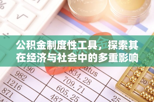 精准公积金制度性工具，探索其在经济与社会中的多重影响
