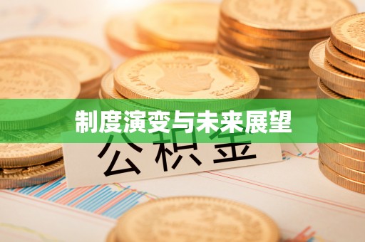 精准制度演变与未来展望
