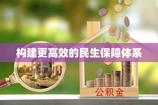 精准构建更高效的民生保障体系