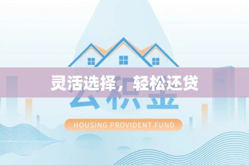 精准灵活选择，轻松还贷