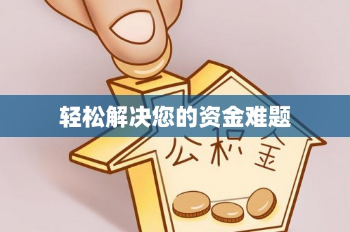 精准轻松解决您的资金难题