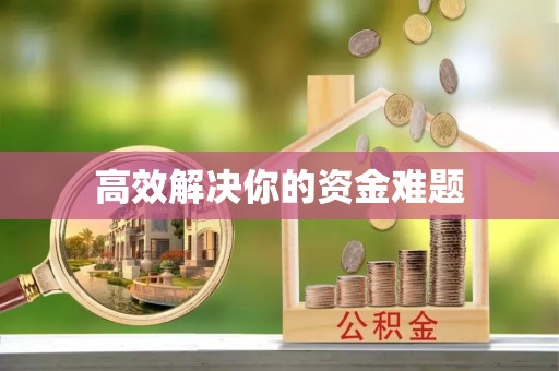 精准高效解决你的资金难题