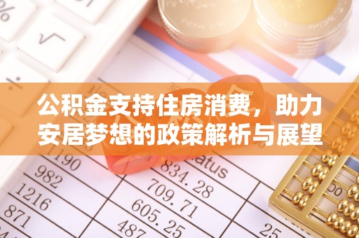 精准公积金支持住房消费，助力安居梦想的政策解析与展望