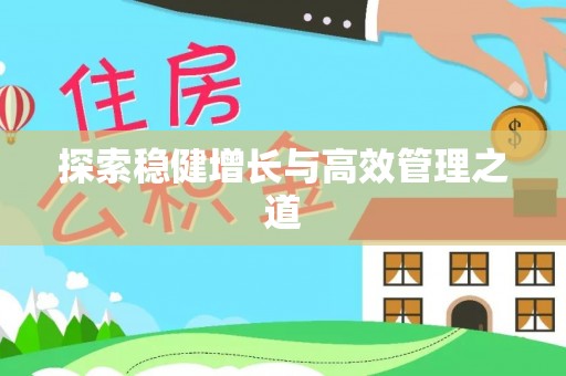 精准探索稳健增长与高效管理之道