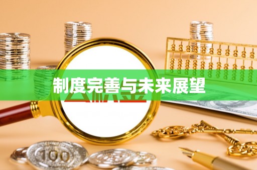 精准制度完善与未来展望