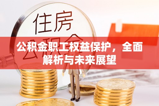 精准公积金职工权益保护，全面解析与未来展望