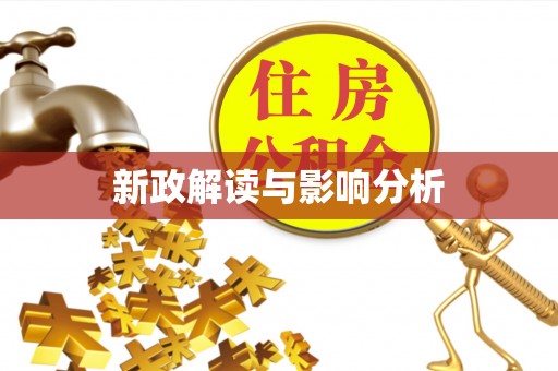 精准新政解读与影响分析