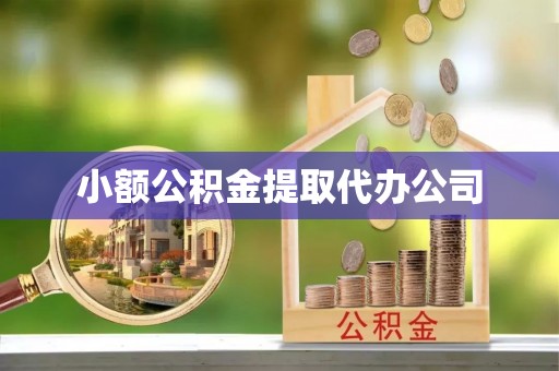 精准小额公积金提取代办公司