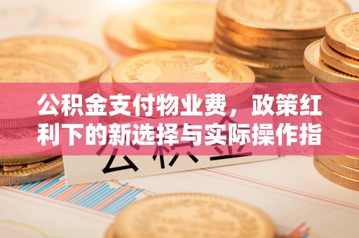 精准公积金支付物业费，政策红利下的新选择与实际操作指南