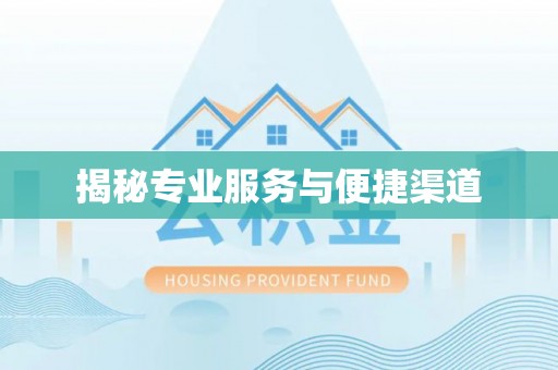 精准揭秘专业服务与便捷渠道