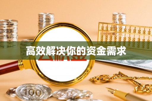 精准高效解决你的资金需求