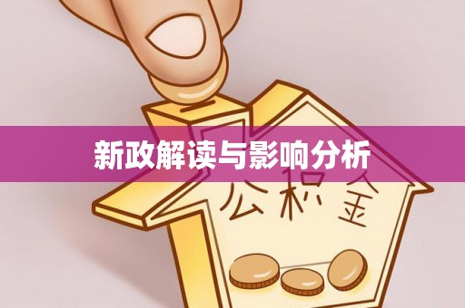 精准新政解读与影响分析