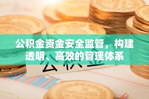 精准公积金资金安全监管，构建透明、高效的管理体系
