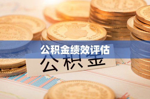 精准公积金绩效评估