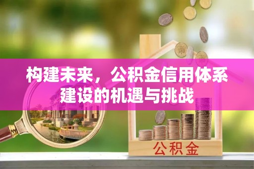 精准构建未来，公积金信用体系建设的机遇与挑战