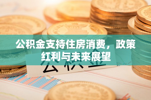 精准公积金支持住房消费，政策红利与未来展望