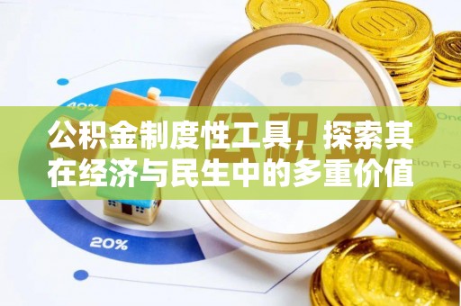 精准公积金制度性工具，探索其在经济与民生中的多重价值