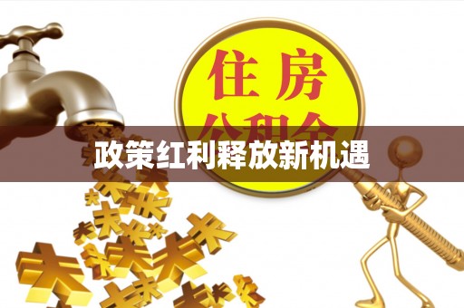 精准政策红利释放新机遇