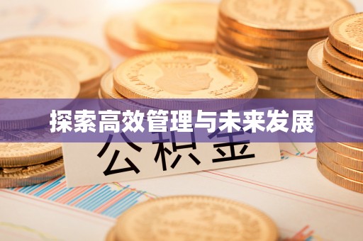精准探索高效管理与未来发展