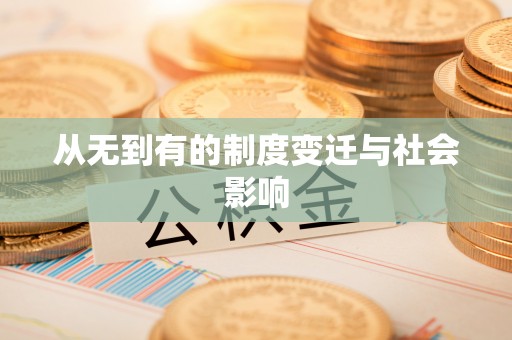 精准从无到有的制度变迁与社会影响