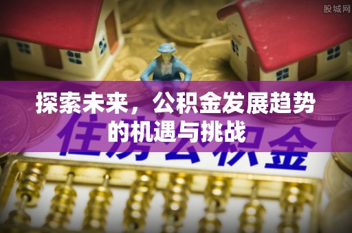 精准探索未来，公积金发展趋势的机遇与挑战