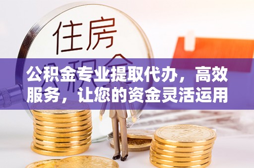 精准公积金专业提取代办，高效服务，让您的资金灵活运用