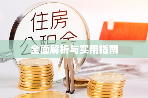 精准全面解析与实用指南