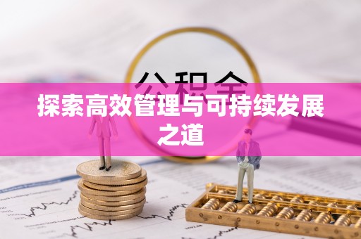 精准探索高效管理与可持续发展之道