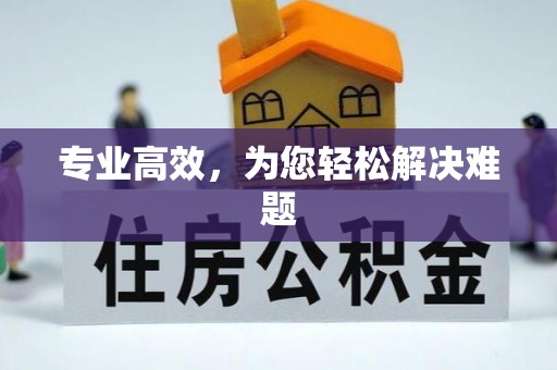 精准专业高效，为您轻松解决难题