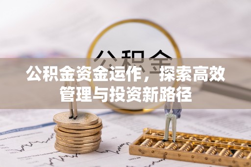 精准公积金资金运作，探索高效管理与投资新路径