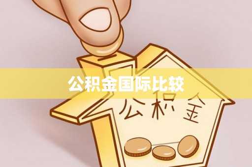 精准公积金国际比较
