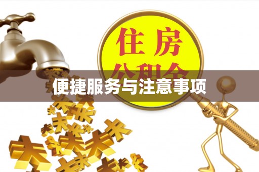 精准便捷服务与注意事项