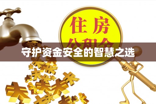 精准守护资金安全的智慧之选