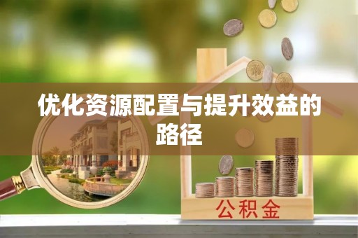 精准优化资源配置与提升效益的路径