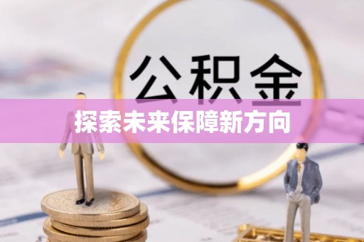 精准探索未来保障新方向