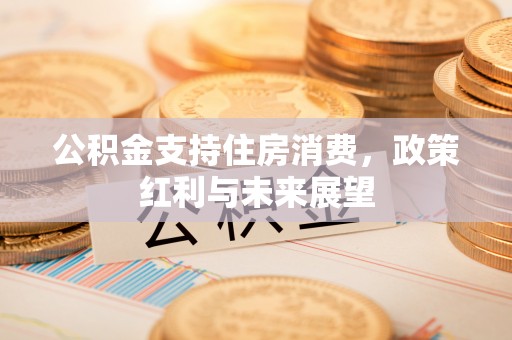 精准公积金支持住房消费，政策红利与未来展望