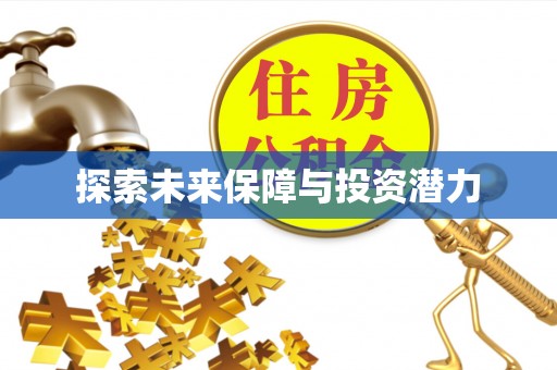 精准探索未来保障与投资潜力