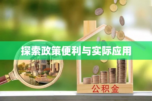 精准探索政策便利与实际应用