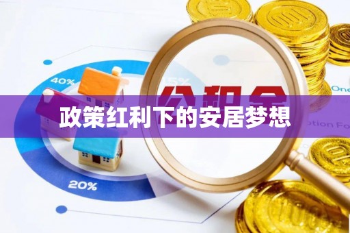 精准政策红利下的安居梦想