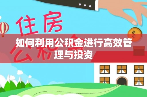 精准如何利用公积金进行高效管理与投资