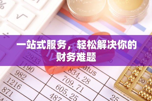精准一站式服务，轻松解决你的财务难题